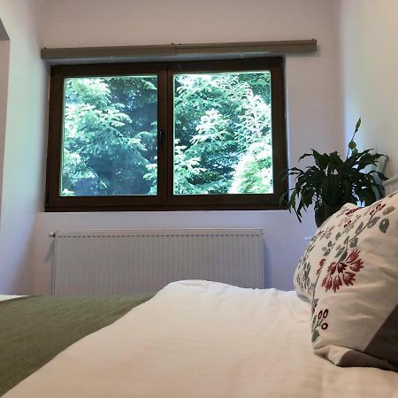 Forest Apartments By Olala Homes シナヤ エクステリア 写真