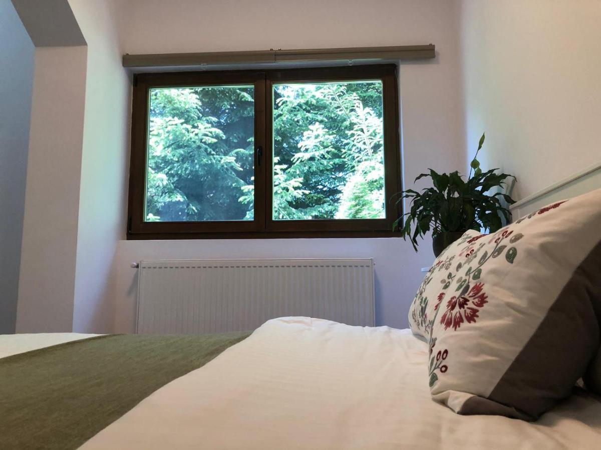 Forest Apartments By Olala Homes シナヤ エクステリア 写真
