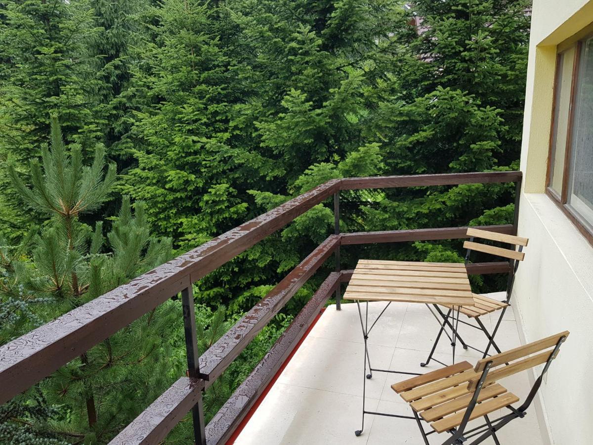 Forest Apartments By Olala Homes シナヤ エクステリア 写真