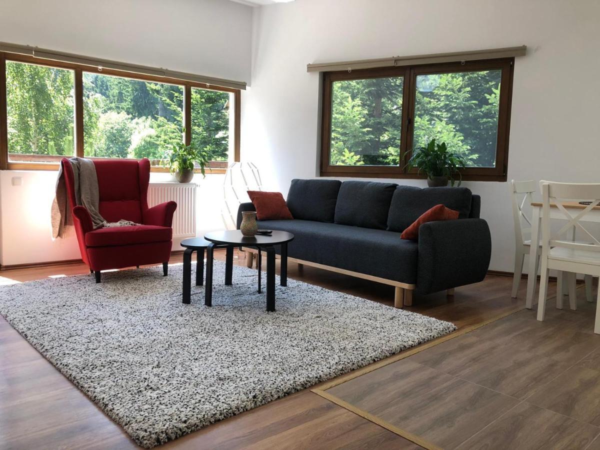 Forest Apartments By Olala Homes シナヤ エクステリア 写真