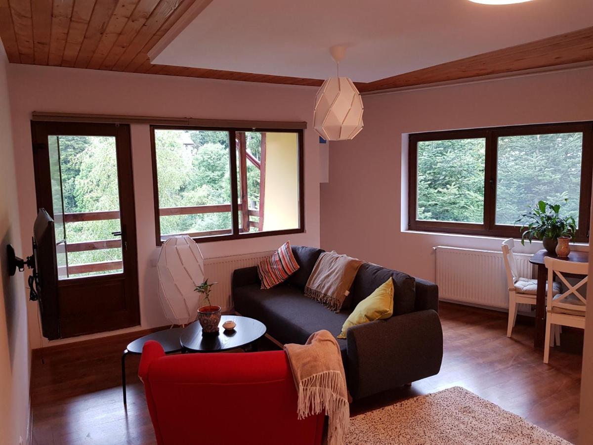 Forest Apartments By Olala Homes シナヤ エクステリア 写真