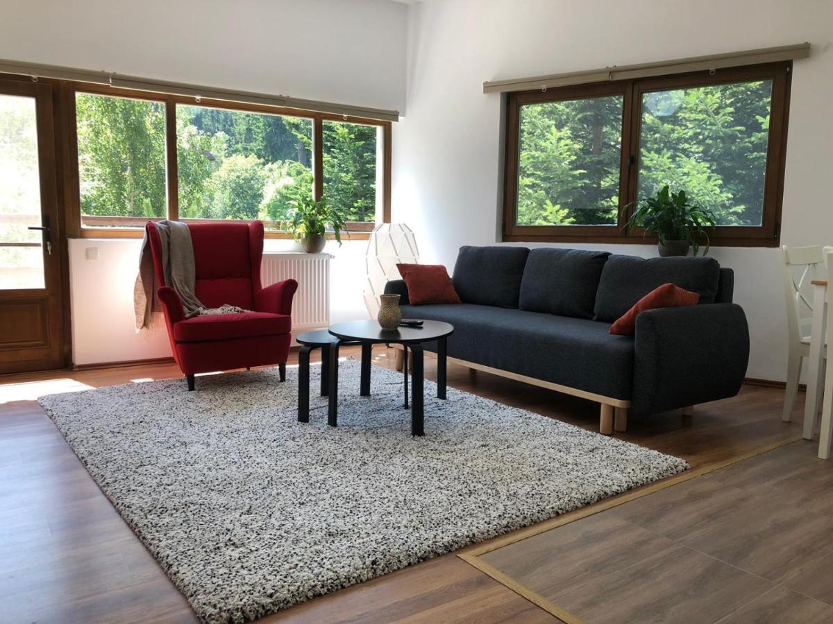 Forest Apartments By Olala Homes シナヤ エクステリア 写真