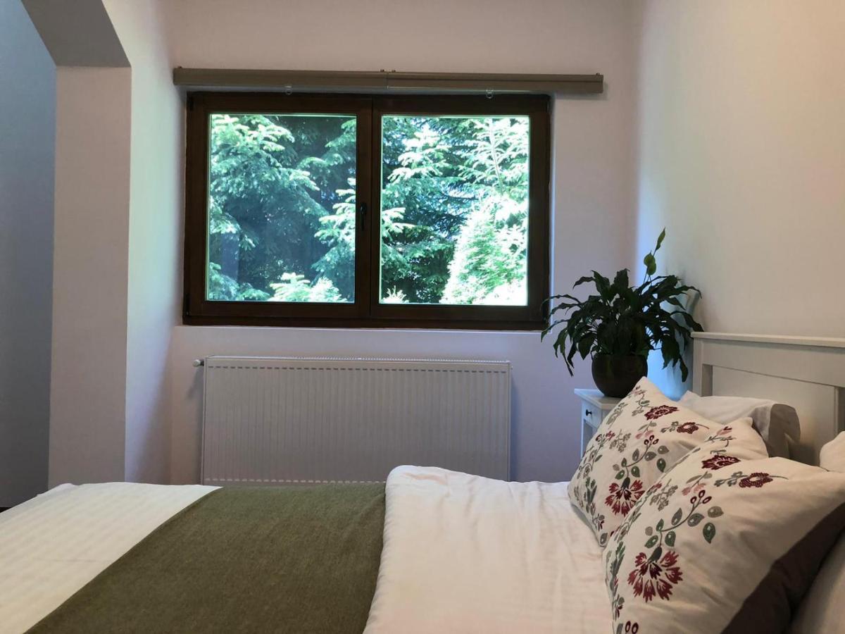 Forest Apartments By Olala Homes シナヤ エクステリア 写真